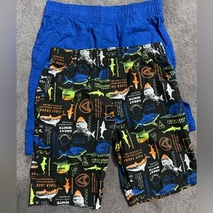 Boys 365 Garanimals 2 Pack Shorts with Pockets size 10